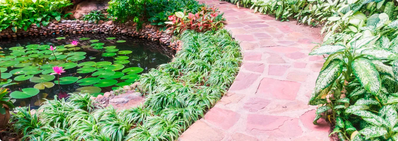 Paver Driveways, walkways & Patios